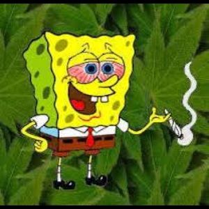 Meet your Posher, Jake